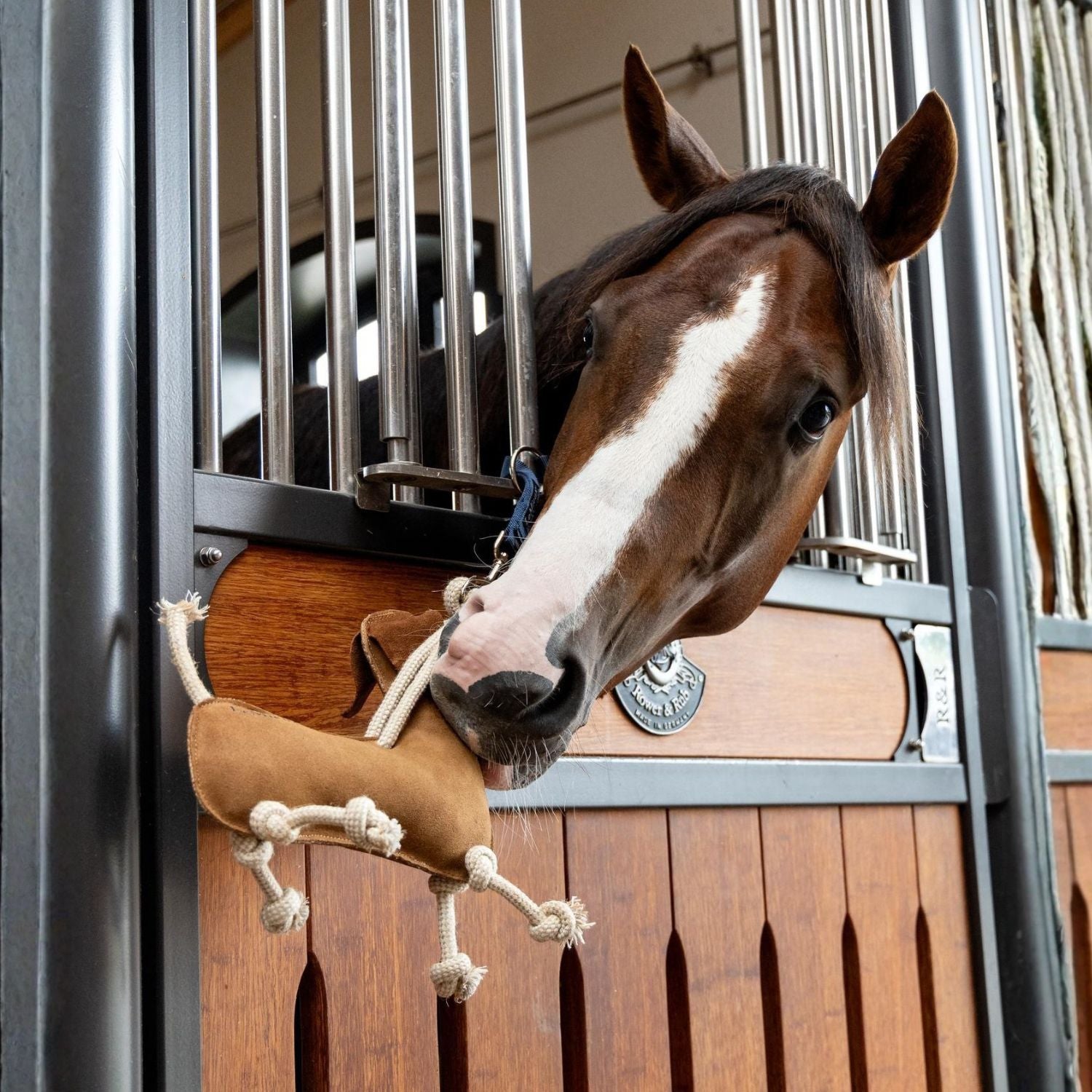 Pferd spielt neugierig mit dem LeMieux Pferdespielzeug Dackel aus Wildleder – perfekte Beschäftigung gegen Langeweile in der Box, erhältlich bei ePony Reitsport.