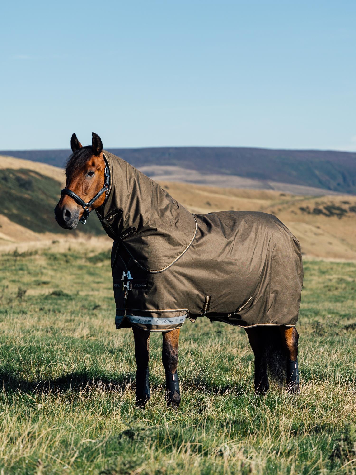 LeMieux Arika Ripstop Turnout Rug 0 g Alpine auf der Weide – Outdoordecke für Pferde bei Regen, Schnee oder Wind, atmungsaktiv und komfortabel.