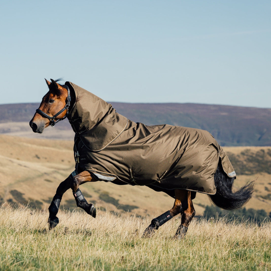Galoppierendes Pferd auf der Weide mit LeMieux Arika Ripstop Outdoordecke 50g Alpine und Halsteil – maximale Bewegungsfreiheit bei natürlicher Bewegung.