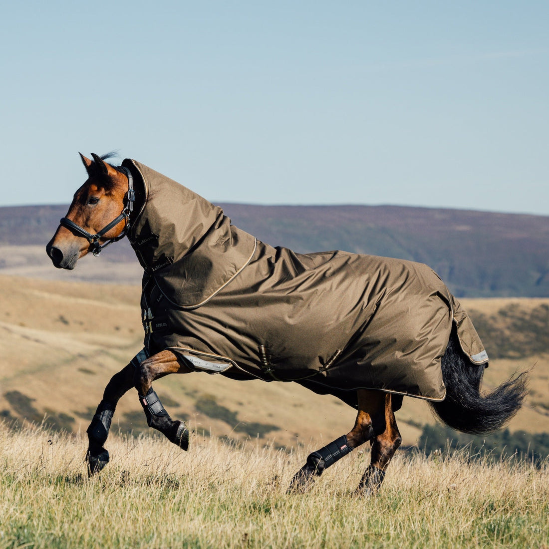 Galoppierendes Pferd mit LeMieux Arika Ripstop Turnout Rug 100g Alpine auf der Weide – maximale Bewegungsfreiheit ohne Einschränkung.