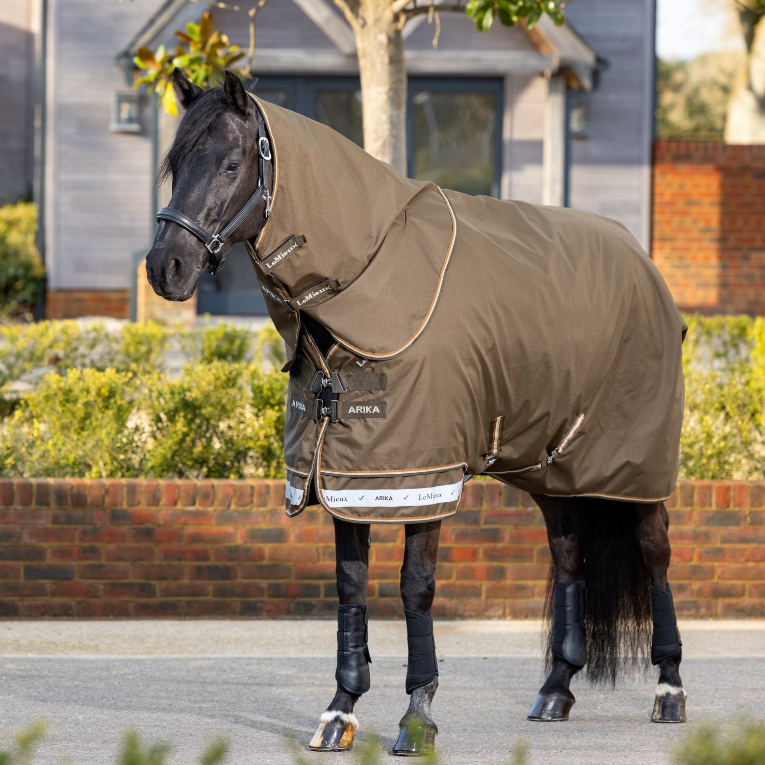 Frontansicht eines Pferdes mit LeMieux Arika Ripstop Outdoordecke 100 g Alpine und abnehmbarem Halsteil vor Stallgebäuden – reflektierender Arika Saum in Hellgrau und sichtbares LeMieux Logo an den Klettverschlüssen des abnehmbaren Halsteils.