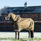Pferd steht im Winter auf gefrorener Wiese in der Sonne und trägt die LeMieux Arika Ripstop Turnout Rug 200g mit Halsteil in der Farbe alpine – die Weidedecke hält warm und schützt vor Kälte, Wind und Regen.