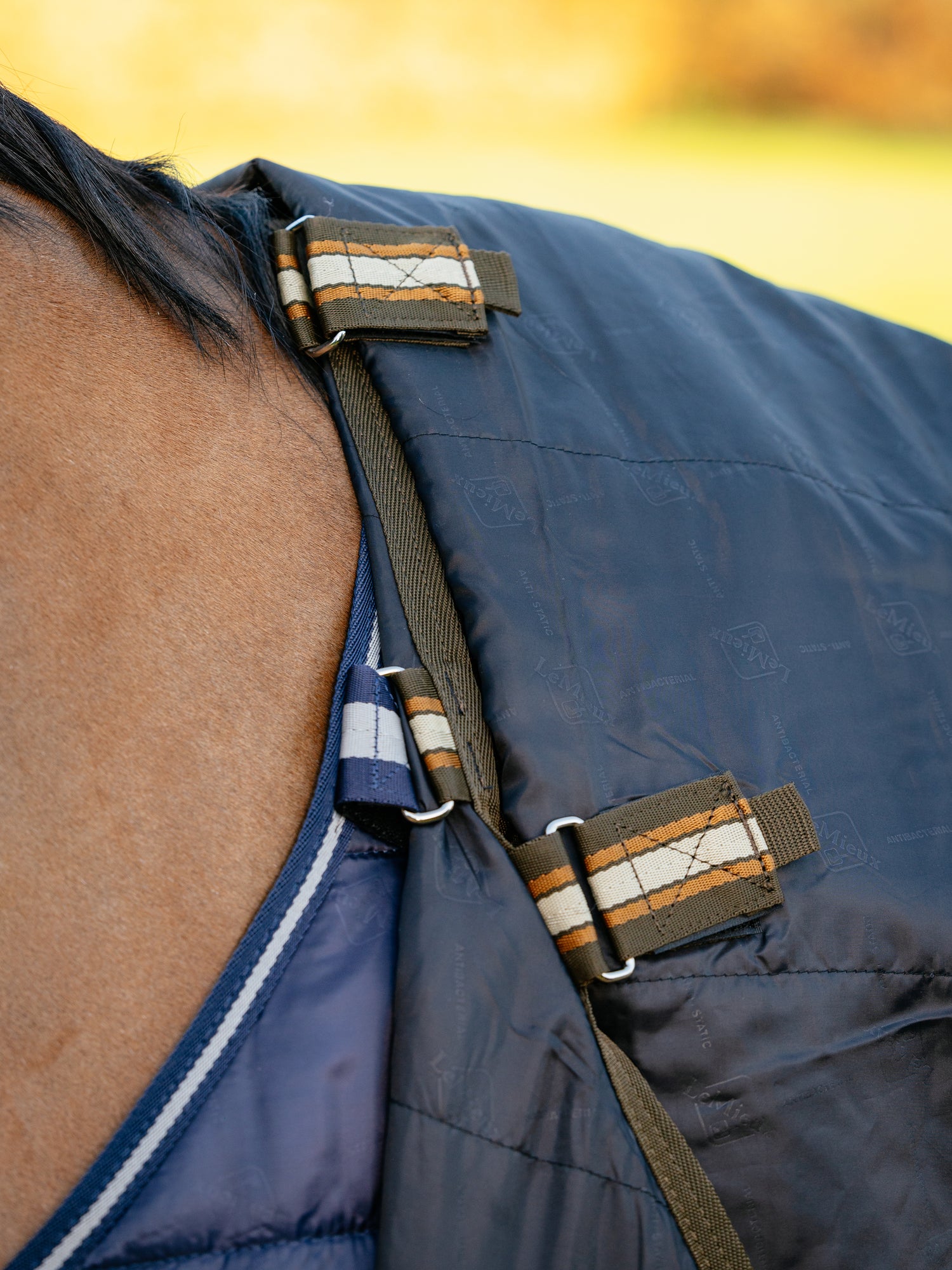 LeMieux Outdoordecke Arika Ripstop Turnout Rug mit Halsteil 200g alpine