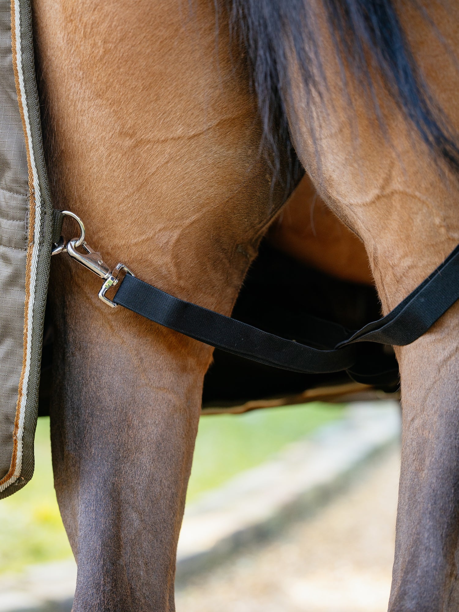 LeMieux Outdoordecke Arika Ripstop Turnout Rug mit Halsteil 200g alpine