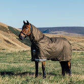 Seitlich schräge Ansicht eines entspannten Pferdes auf der Weide, mit LeMieux Arika Ripstop Outdoordecke 50 g Alpine und abnehmbarem Halsteil – gekreuzte Bauchgurte, doppelte T-Verschlüsse mit 45-Grad-Vernähung sorgen für sicheren Sitz und perfekte Lage auf der Brust. die robuste Weidedecke auch Turnout Rug genannt eignet sich auch für Pferde die im Offenstall oder Aktiv Stall gehalten werden im Winter, Herbst, Frühjahr und kalten Regentagen. Für pferdefreundlichen Schutz gegen Wind, Regen, Kälte und Schnee