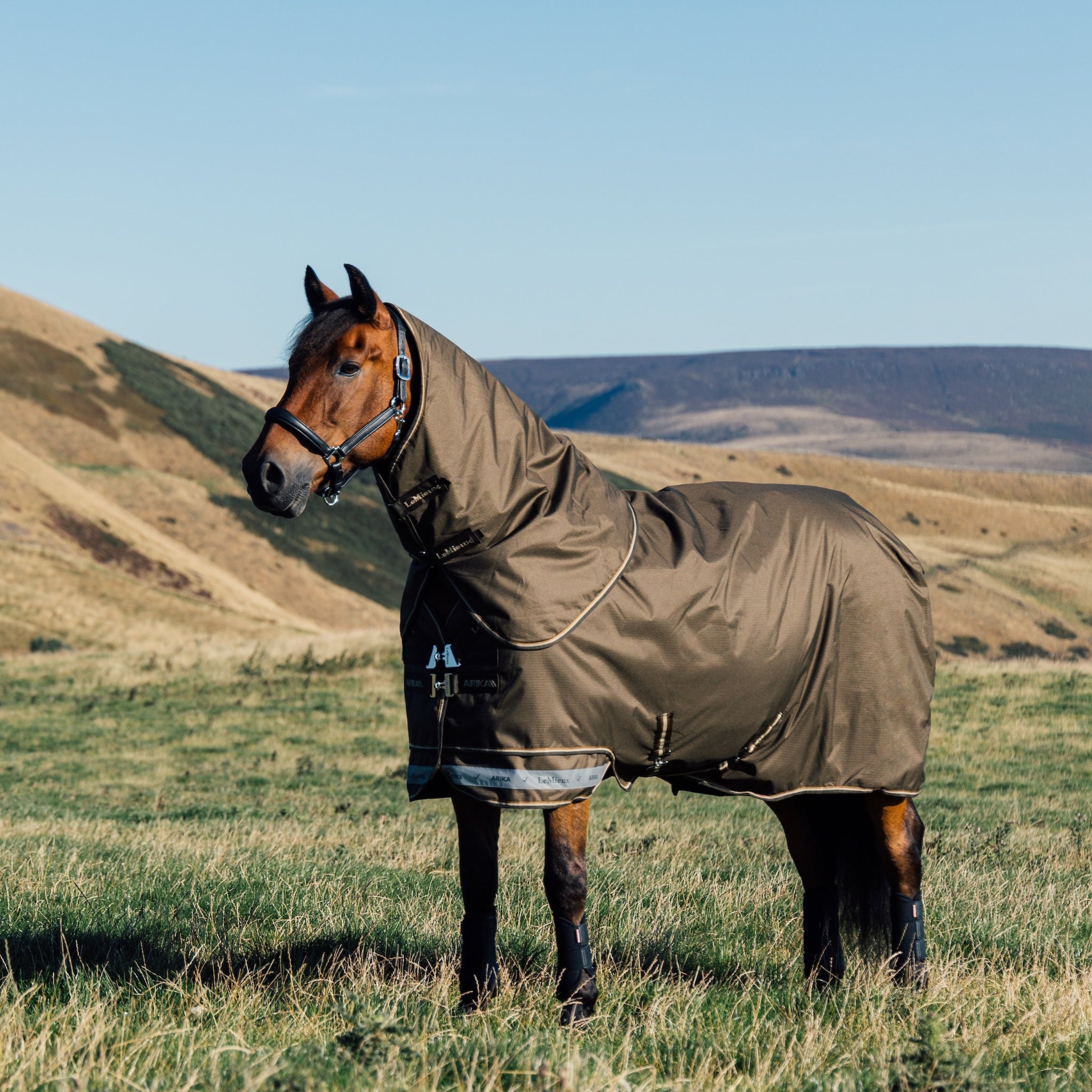 Seitlich schräge Ansicht eines entspannten Pferdes auf der Weide, mit LeMieux Arika Ripstop Outdoordecke 50 g Alpine und abnehmbarem Halsteil – gekreuzte Bauchgurte, doppelte T-Verschlüsse mit 45-Grad-Vernähung sorgen für sicheren Sitz und perfekte Lage auf der Brust. die robuste Weidedecke auch Turnout Rug genannt eignet sich auch für Pferde die im Offenstall oder Aktiv Stall gehalten werden im Winter, Herbst, Frühjahr und kalten Regentagen. Für pferdefreundlichen Schutz gegen Wind, Regen, Kälte und Schnee