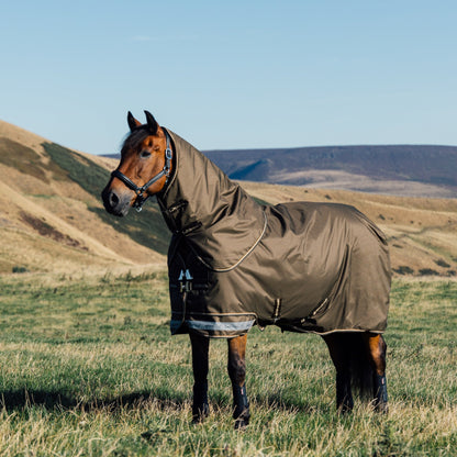 Seitlich schräge Ansicht eines entspannten Pferdes auf der Weide, mit LeMieux Arika Ripstop Outdoordecke 50 g Alpine und abnehmbarem Halsteil – gekreuzte Bauchgurte, doppelte T-Verschlüsse mit 45-Grad-Vernähung sorgen für sicheren Sitz und perfekte Lage auf der Brust. die robuste Weidedecke auch Turnout Rug genannt eignet sich auch für Pferde die im Offenstall oder Aktiv Stall gehalten werden im Winter, Herbst, Frühjahr und kalten Regentagen. Für pferdefreundlichen Schutz gegen Wind, Regen, Kälte und Schnee