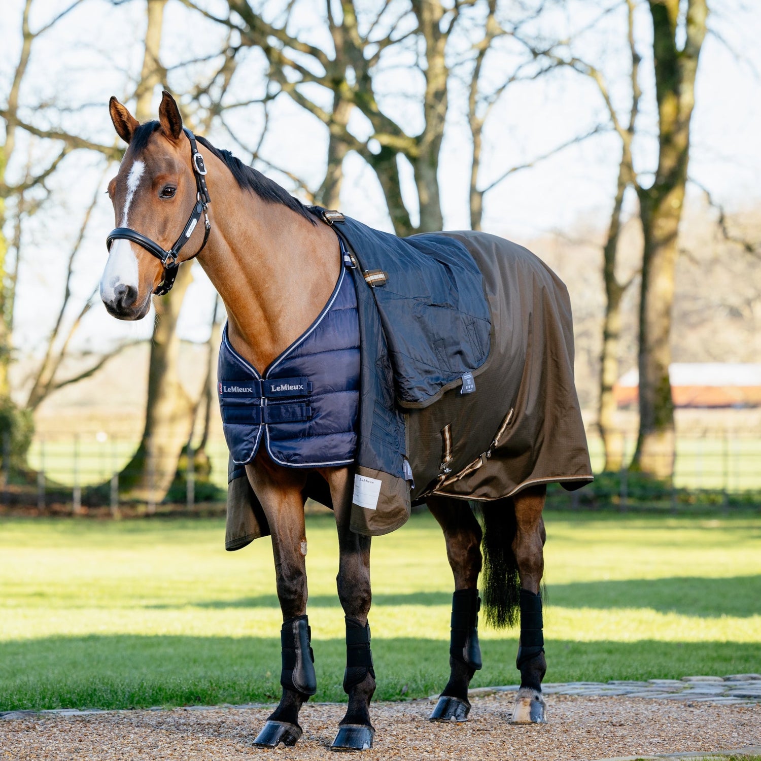 Ein Pferd trägt die LeMieux Unterdecke 100 g Navy mit darüberliegender LeMieux Arika Ripstop Turnout Rug Alpine. Das Bild zeigt, dass über der Unterdecke sowohl Stalldecken als auch Weidedecken getragen werden können. Es verdeutlicht die zahlreichen Variationsmöglichkeiten mit unterschiedlichen Füllungen für eine individuelle Temperaturanpassung, ideal für Ponys oder Pferde mit verschiedenen Bedürfnissen. Die Kombination bietet Flexibilität, Komfort und optimalen Schutz bei allen Wetterbedingungen.