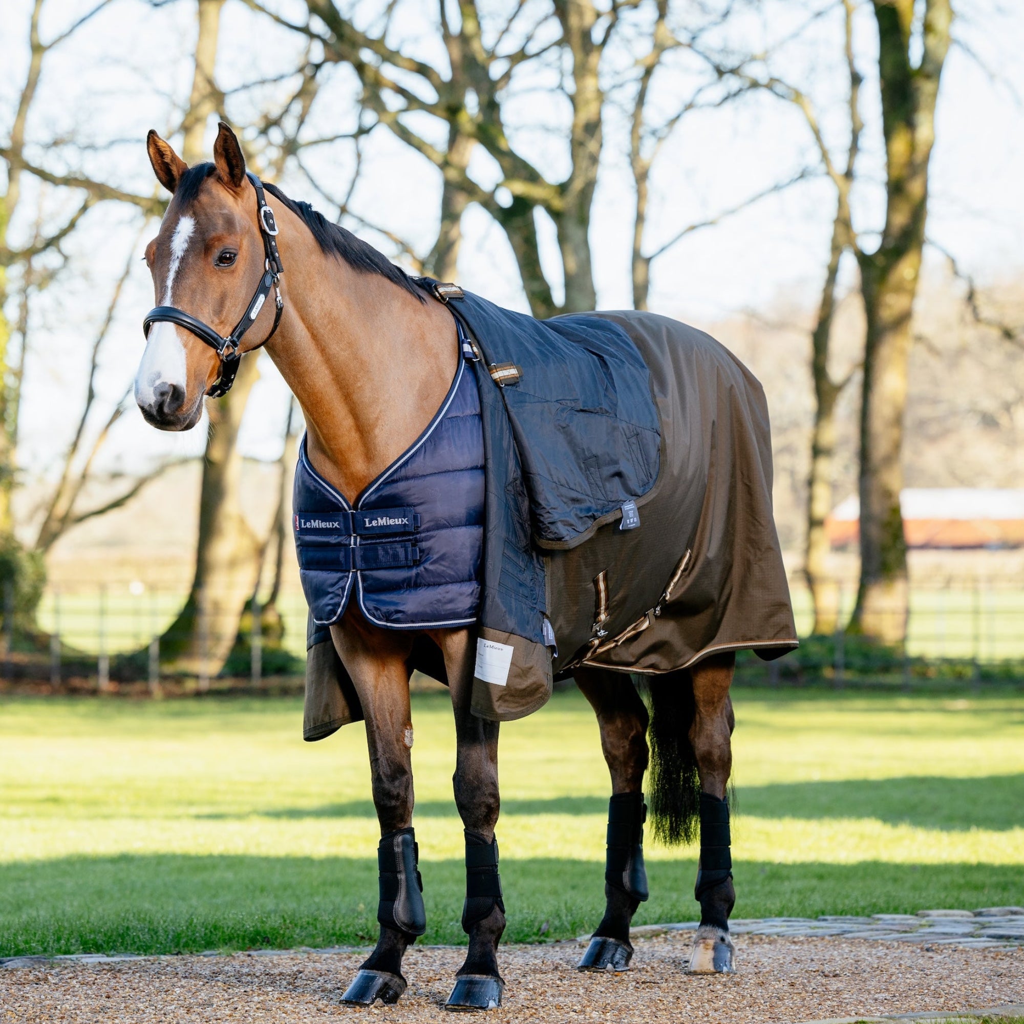 Ein Pferd trägt die LeMieux Unterdecke 100 g Navy mit darüberliegender LeMieux Arika Ripstop Turnout Rug Alpine. Das Bild zeigt, dass über der Unterdecke sowohl Stalldecken als auch Weidedecken getragen werden können. Es verdeutlicht die zahlreichen Variationsmöglichkeiten mit unterschiedlichen Füllungen für eine individuelle Temperaturanpassung, ideal für Ponys oder Pferde mit verschiedenen Bedürfnissen. Die Kombination bietet Flexibilität, Komfort und optimalen Schutz bei allen Wetterbedingungen.