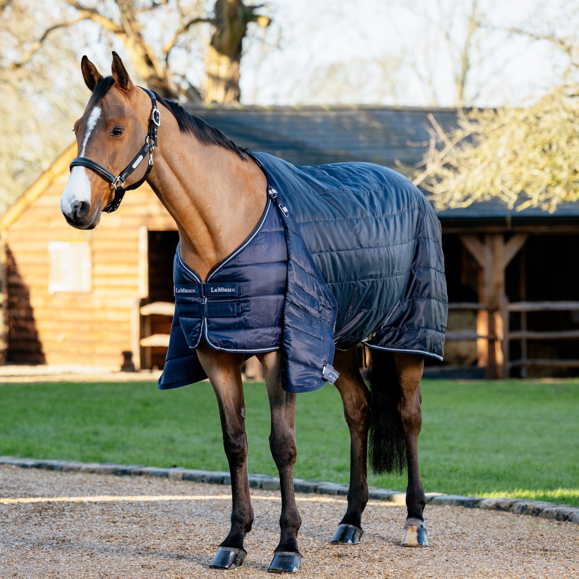 Braunes Pferdes trägt die LeMieux Unterdecke 100 g Navy mit einer darüberliegenden zweiten LeMieux Stalldecke in Navy als zweiten Liner. Die zweite Decke wird mit gekreuzten Bauchgurten um die Unterdecke herum befestigt. Dies gewährleistet sicheren Halt auf dem Pferderücken, verhindert Verrutschen und bietet komfortables, pferdefreundliches Layering. Ideal für flexibles Layering im LeMieux Pferdedecken Liner-System bei verschiedenen Wetterbedingungen.