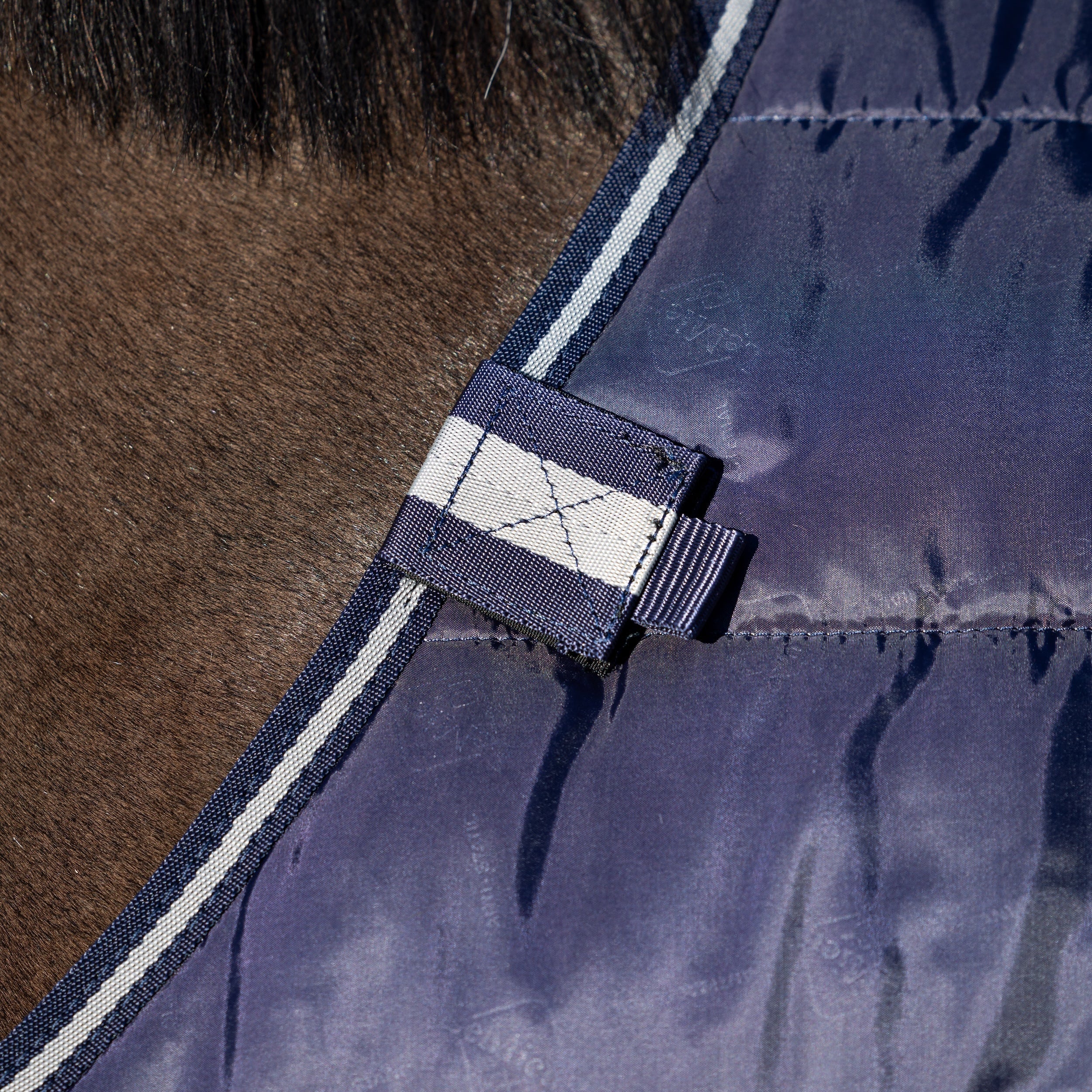 Detailaufnahme des Haltepunktes der zweiten Linerdecke am Hals der LeMieux Unterdecke 200 g Navy. Klettverschlüsse sind mit den D-Ringen der Innenseite der zweiten Linerdecke verbunden. Das Bild zeigt die Decke am Pferd getragen, sorgt für sicheren Sitz, verhindert Verrutschen und bietet extra Wärme. Ideal für komfortables Layering im LeMieux Pferdedecken Liner-System.