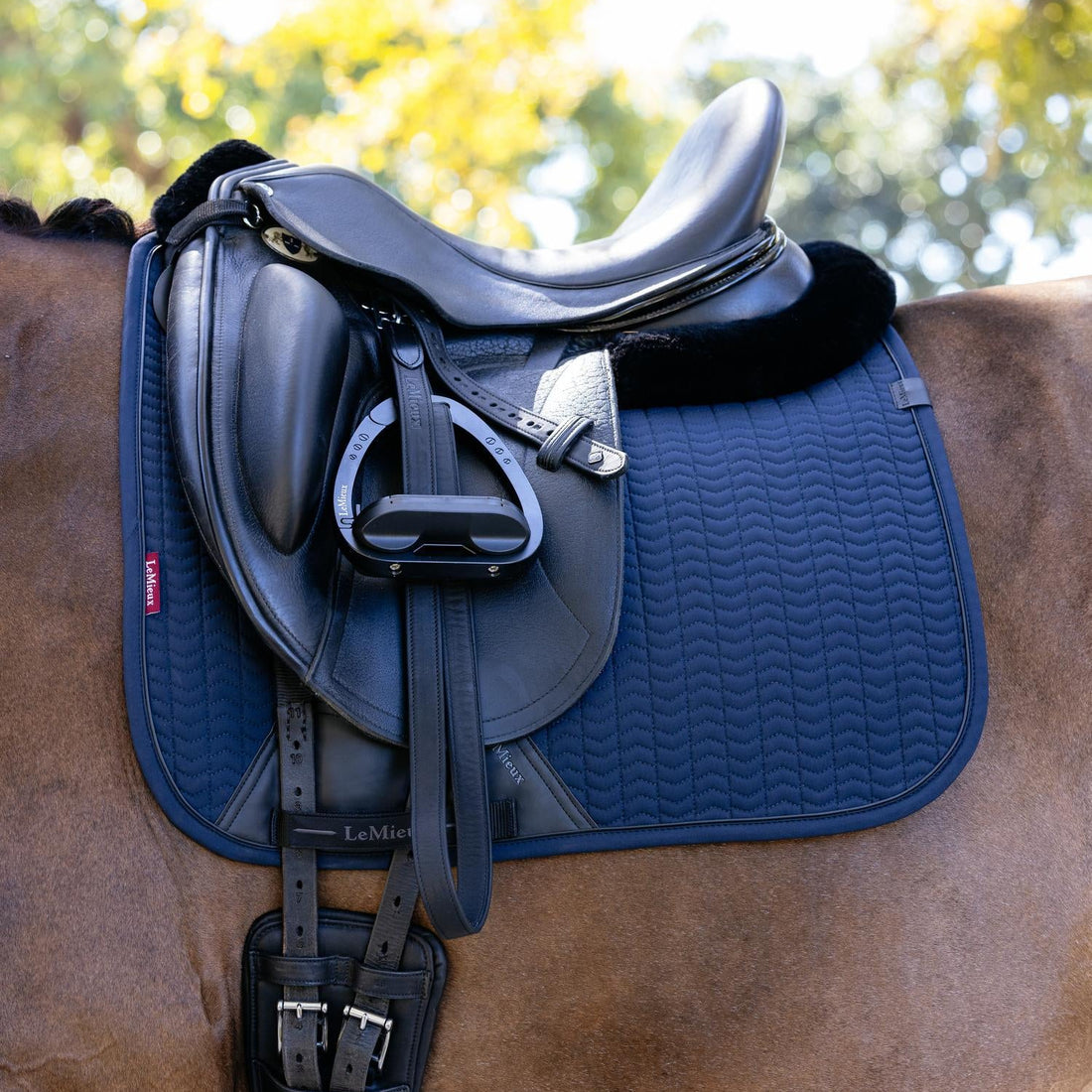 LeMieux Schabracke Essence Dressage Square Navy