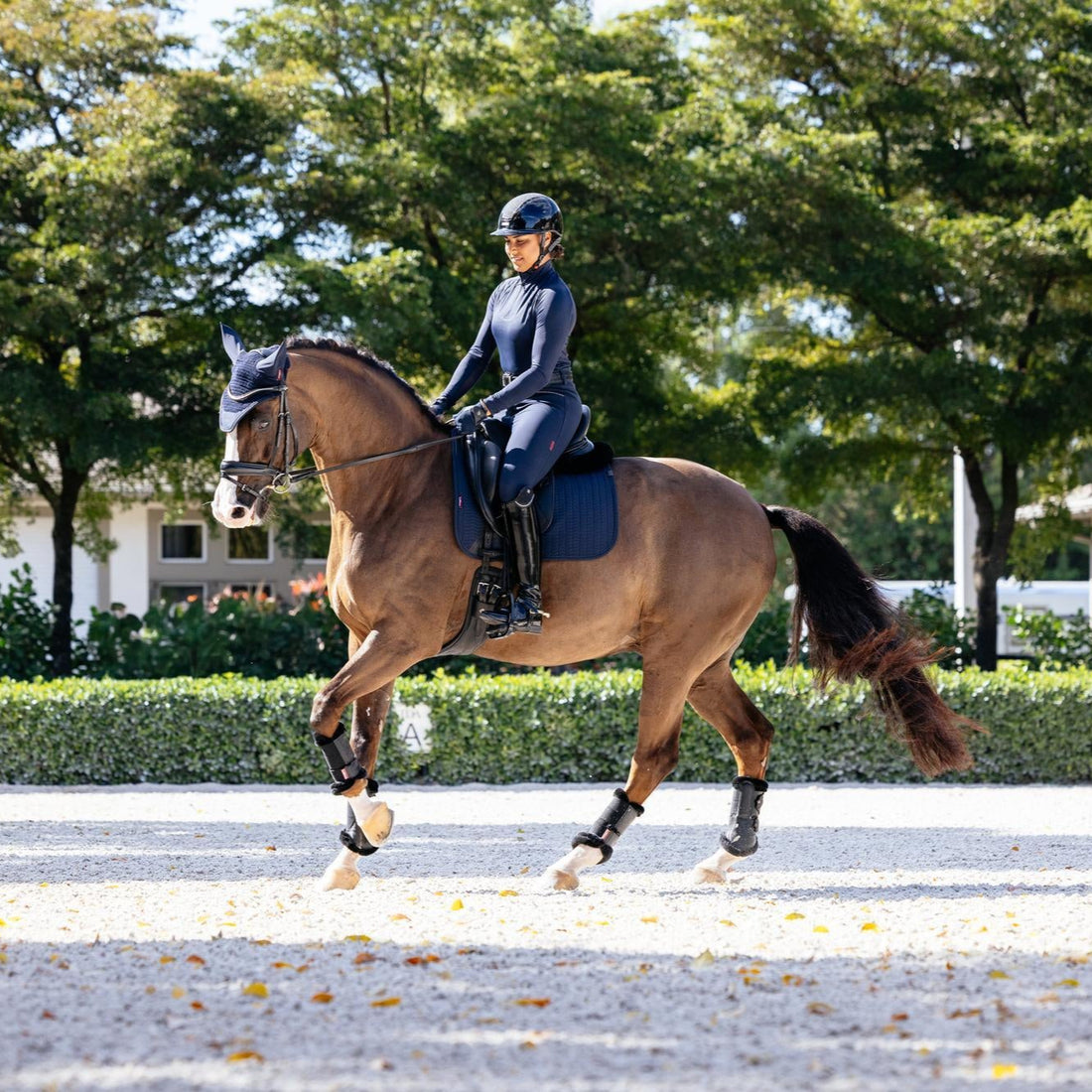 LeMieux Schabracke Essence Dressage Square Navy
