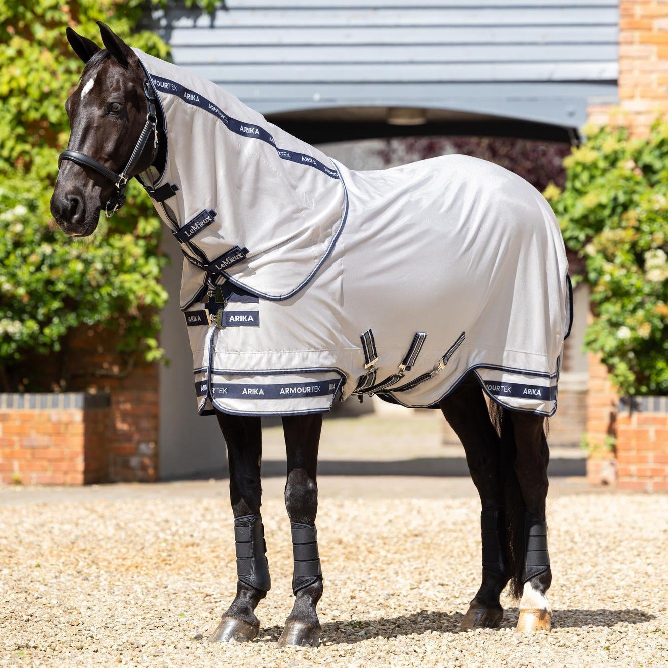 in schwarzer Rappe steht entspannt in der prallen Mittagssonne mit der hellgrauen LeMieux Arika Armour-Tek Fliegendecke, die durch 85 % UV-Schutz effektiv vor Sonnenbrand und dem Ausbleichen des Fells schützt, während das atmungsaktive Mikromesh Überhitzung und Hitzestau zuverlässig verhindert.