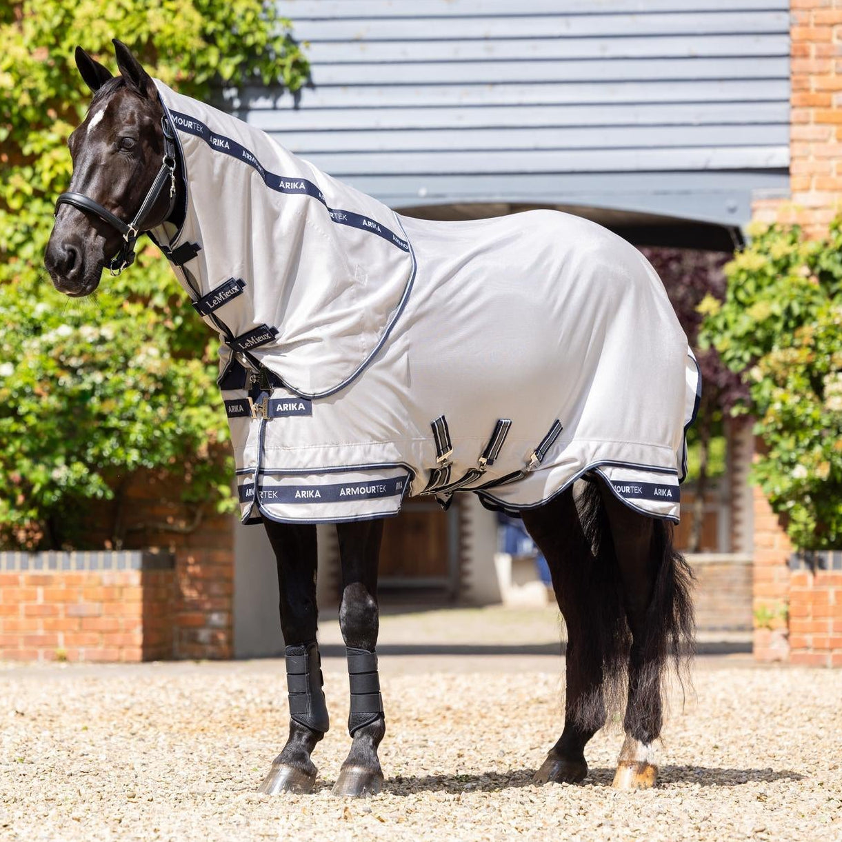 Ein schwarzer Rappe steht entspannt in der prallen Sonne mit der hellgrauen LeMieux Arika Armour-Tek Decke, die durch 85 % UV-Schutz und atmungsaktives Mikromesh die Temperatur reguliert und effektiv vor Insekten schützt. Die graue Fliegendecke ist bestens auch für heiße Sommertage geeignet.