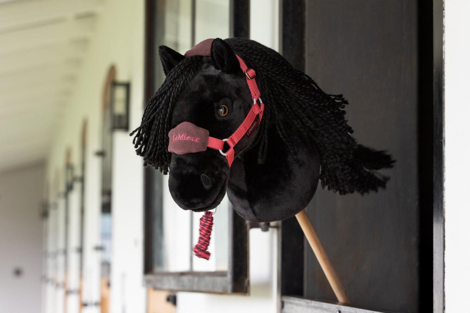 LeMieux Hobby Horse Halfter Vogue Cranberry mit Führstrick an Hobby Horse Spike, der neugierig aus der Pferdebox schaut. Detailgetreues LeMieux Halfterset für Hobby Horses, hochwertig verarbeitet mit Fleecepolsterung und verstellbaren Riemen. Perfektes Zubehör für Hobby Horsing, Stallfotografie und realistische Darstellung des Reitsports für Kinder.