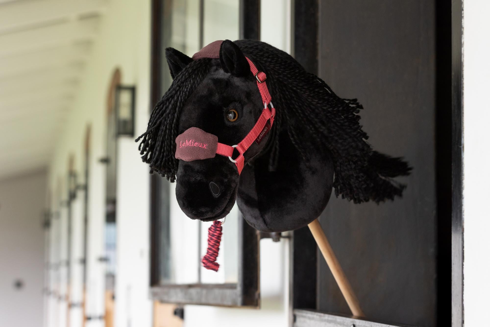 LeMieux Hobby Horse Halfter Vogue Cranberry mit Führstrick an Hobby Horse Spike, der neugierig aus der Pferdebox schaut. Detailgetreues LeMieux Halfterset für Hobby Horses, hochwertig verarbeitet mit Fleecepolsterung und verstellbaren Riemen. Perfektes Zubehör für Hobby Horsing, Stallfotografie und realistische Darstellung des Reitsports für Kinder.