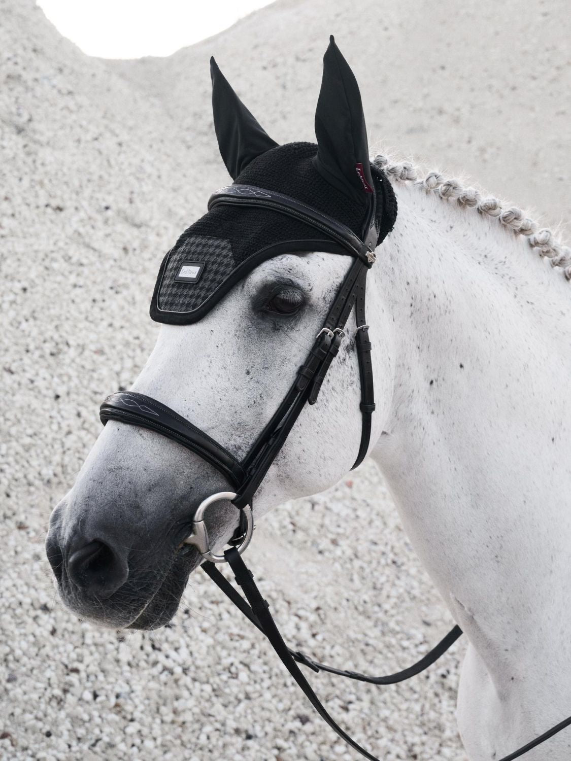 Weißes Pferd (Schimmel) mit Trense trägt die LeMieux Fliegenmütze Aspen Houndstooth Schwarz – stilvolle Hahnentritt-Fliegenhaube mit perfekter Passform und luxuriösen Lackdetails. Bietet zuverlässigen Insektenschutz und eleganten Look im Training oder Parcours.