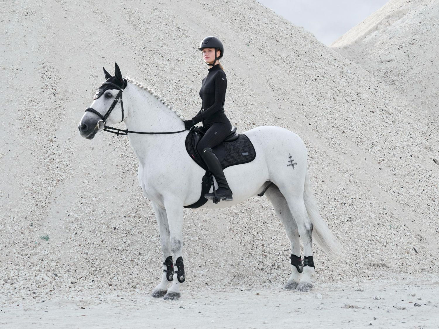 Reiterin und Pferd im Partnerlook mit LeMieux Aspen Capsule Collection, schwarze und graue Houndstooth Schabracke und Halfter, elegante und moderne Reitsportausrüstung im Aspen Design.