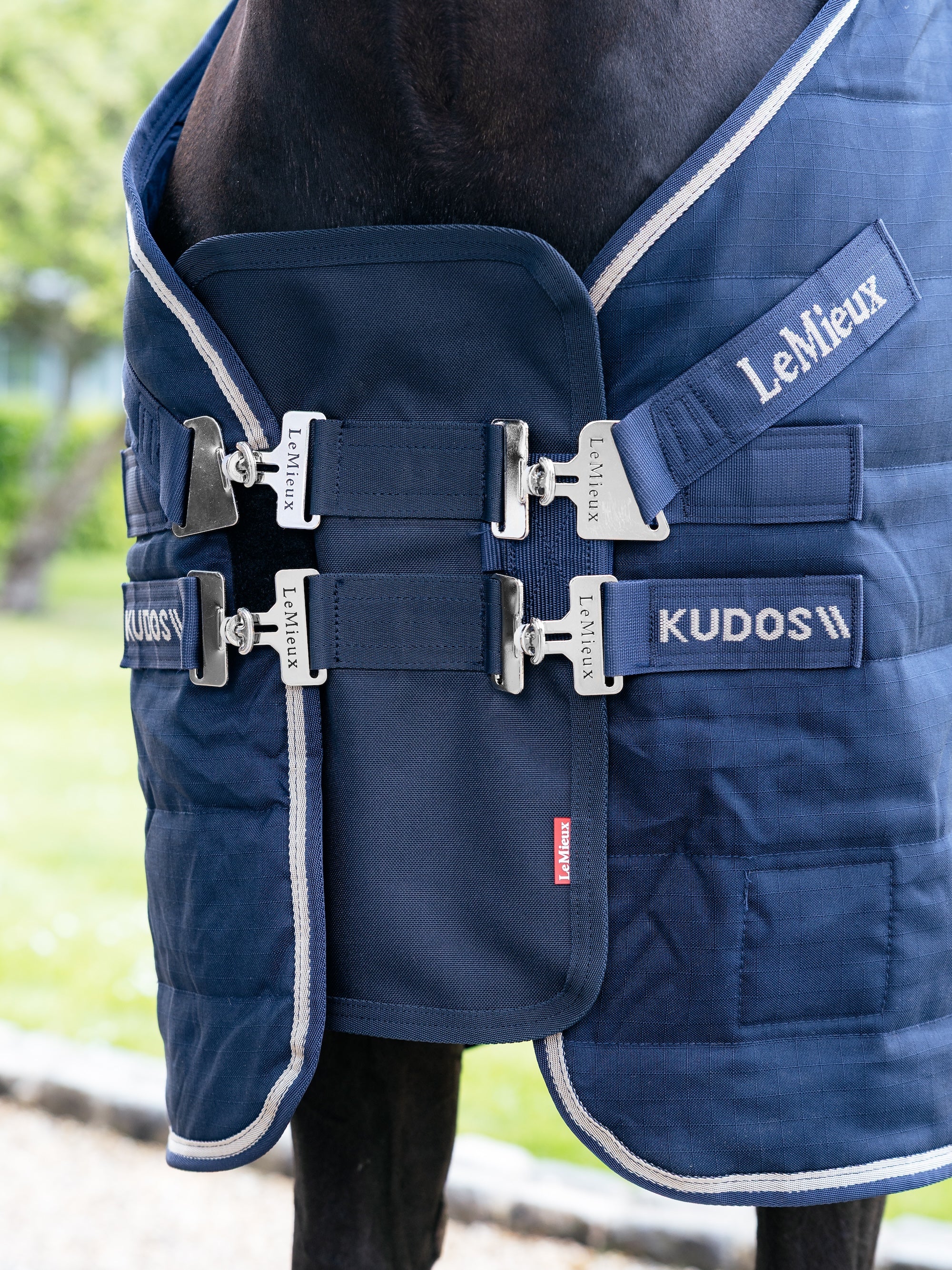 LeMieux Brusterweiterung in Navy am Pferd angebracht, kombiniert mit passender LeMieux Kudos Stalldecke oder Outdoordecke in Navy – optimale Passform, Bewegungsfreiheit und stilvolles Design für Pferdedecken