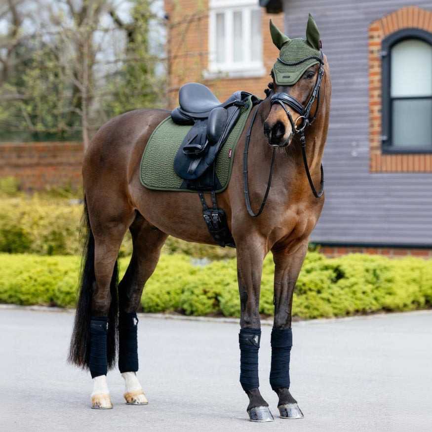LeMieux Fliegenmütze Essence Pine Green am Pferd – stilvolle Fliegenhaube in Kieferngrün, perfekt kombiniert mit passender Schabracke im Training.
