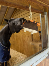 LeMieux Pferdespielzeug Igel über der Boxentür befestigt, mit Möhren in den elastischen Schlaufen als Belohnung befüllt. Schwarzes Pferd spielt am Igel, versucht die Möhren herauszuziehen – spielerische Beschäftigung und Boxenunterhaltung für Pferde und Ponys.