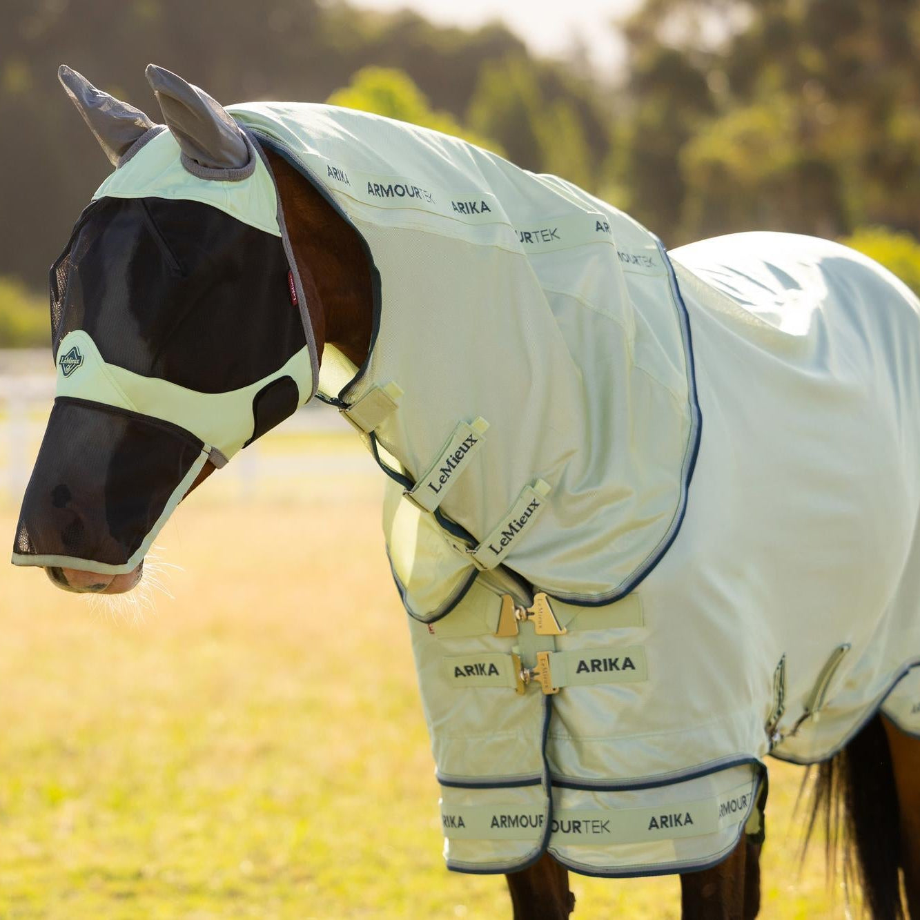 LeMieux Fliegendecke Arika Armour-Tek Macaron mit abnehmbarem Halsteil