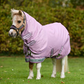 Ein kleines Shetlandpony auf der Weide trägt die LeMieux Arika Ripstop Outdoordecke in Fondant; die 0g Regendecke ist speziell in kleinen Ponygrößen von 75 cm bis 95 cm für Minishettys und Ponys erhältlich.
