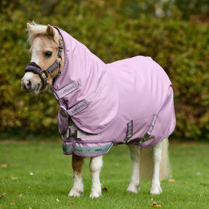 Ein kleines Shetlandpony auf der Weide trägt die LeMieux Arika Ripstop Outdoordecke in Fondant; die 0g Regendecke ist speziell in kleinen Ponygrößen von 75 cm bis 95 cm für Minishettys und Ponys erhältlich.