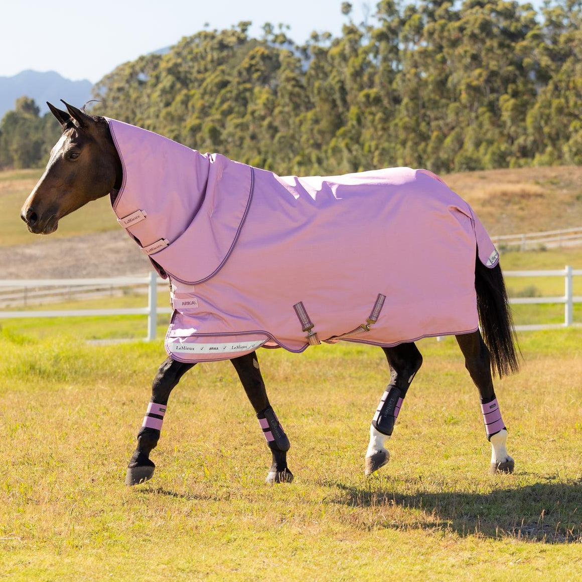 Die LeMieux Outdoordecke Arika Ripstop Turnout Rug 0g in der Trendfarbe Fondant bietet hohe Sichtbarkeit auf der Weide und schützt das Pferd durch das wasserdichte 600D Ripstop-Material zuverlässig vor Wind und Regen. Auch bei schnell wechselndem Wetter ideal durch Atmungsaktivität.