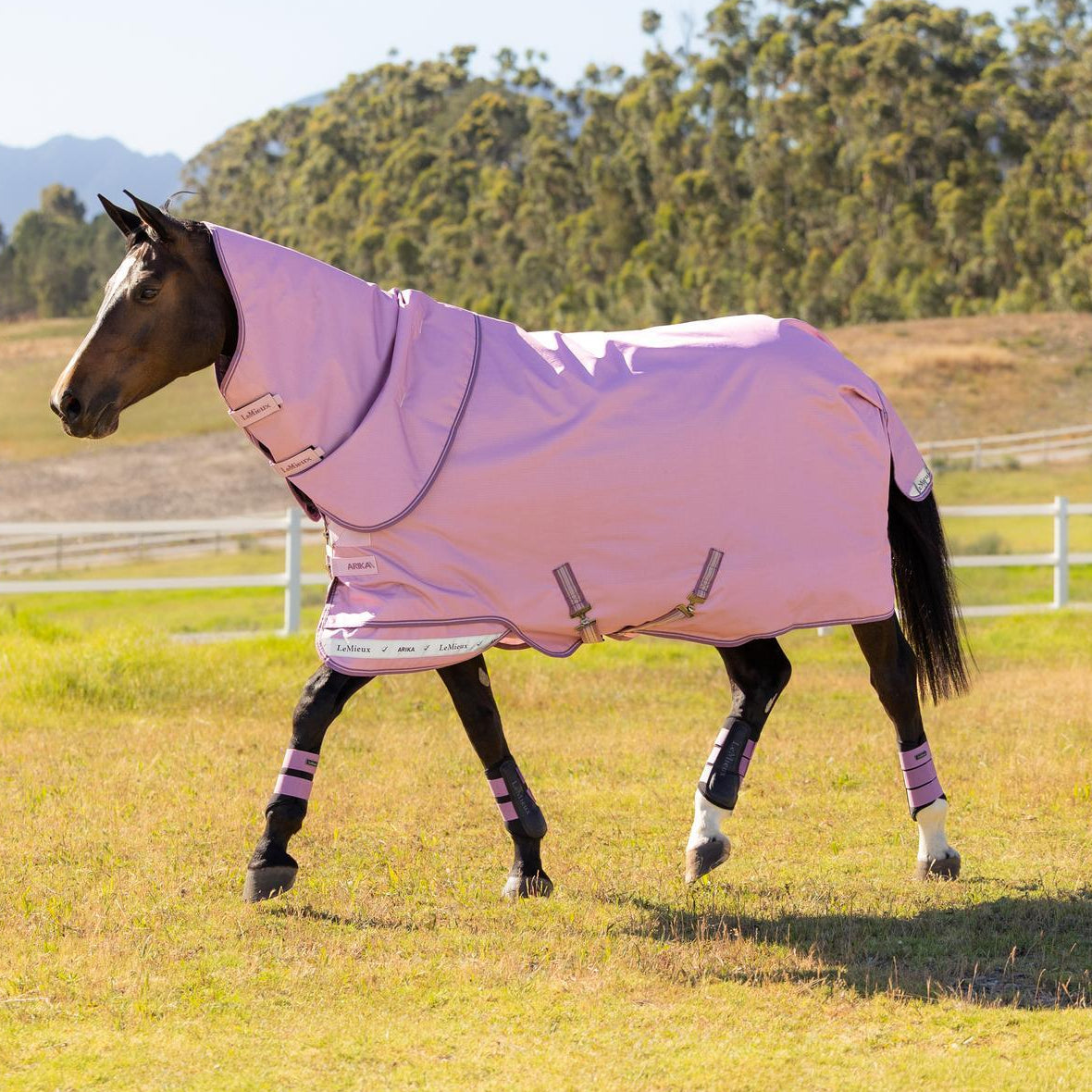 Die LeMieux Outdoordecke Arika Ripstop Turnout Rug 50 g in der Trendfarbe Fondant bietet hohe Sichtbarkeit auf der Weide und schützt das Pferd durch das wasserdichte 600D-Ripstop-Material zuverlässig vor Wind und Regen. Auch bei schnell wechselndem Wetter ideal durch Atmungsaktivität.