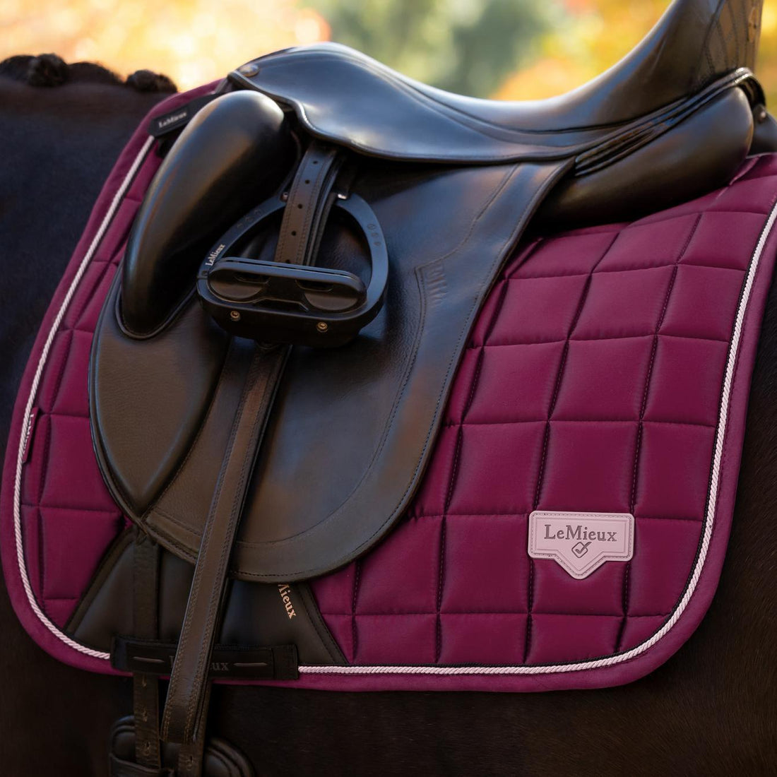 LeMieux Schabracke Loire Classic Satin Dressage Square Blackberry