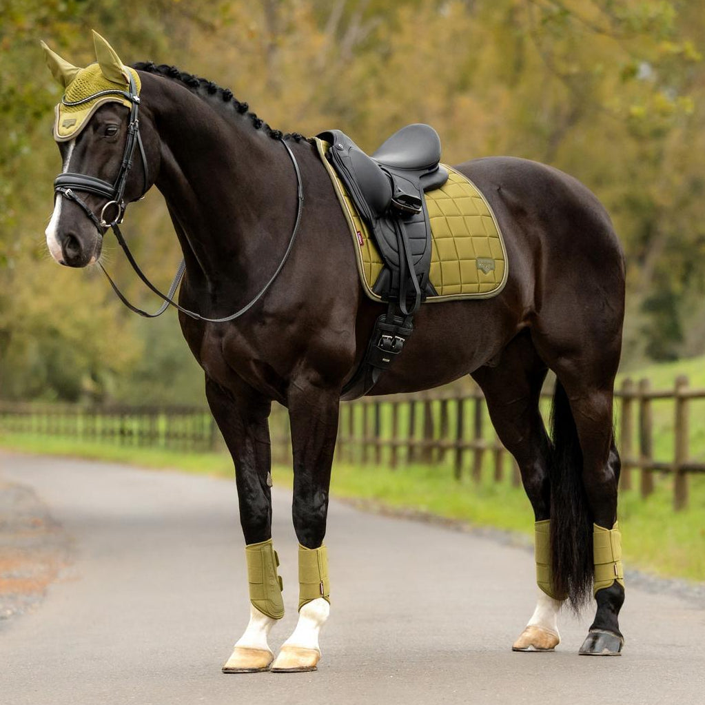 LeMieux Schabracke Loire Classic Satin Dressage Square Gooseberry