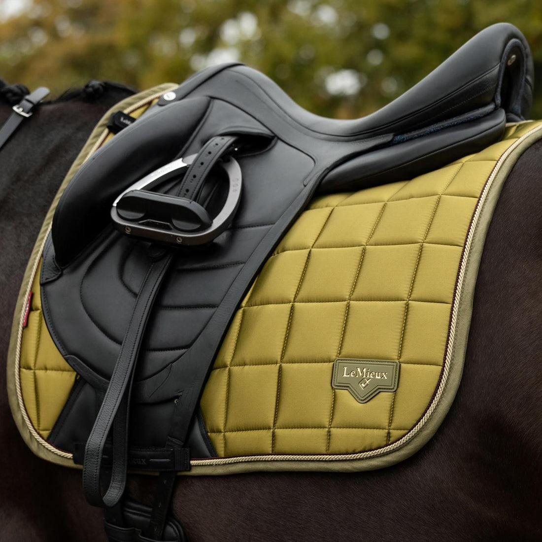 LeMieux Schabracke Loire Classic Satin Dressage Square Gooseberry