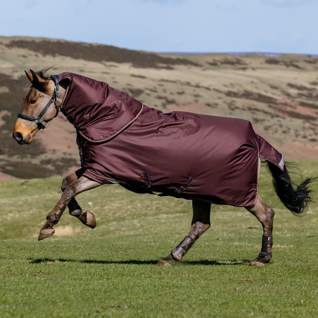 LeMieux Outdoordecke Arika Ripstop Turnout Rug mit Halsteil 0 g bramble