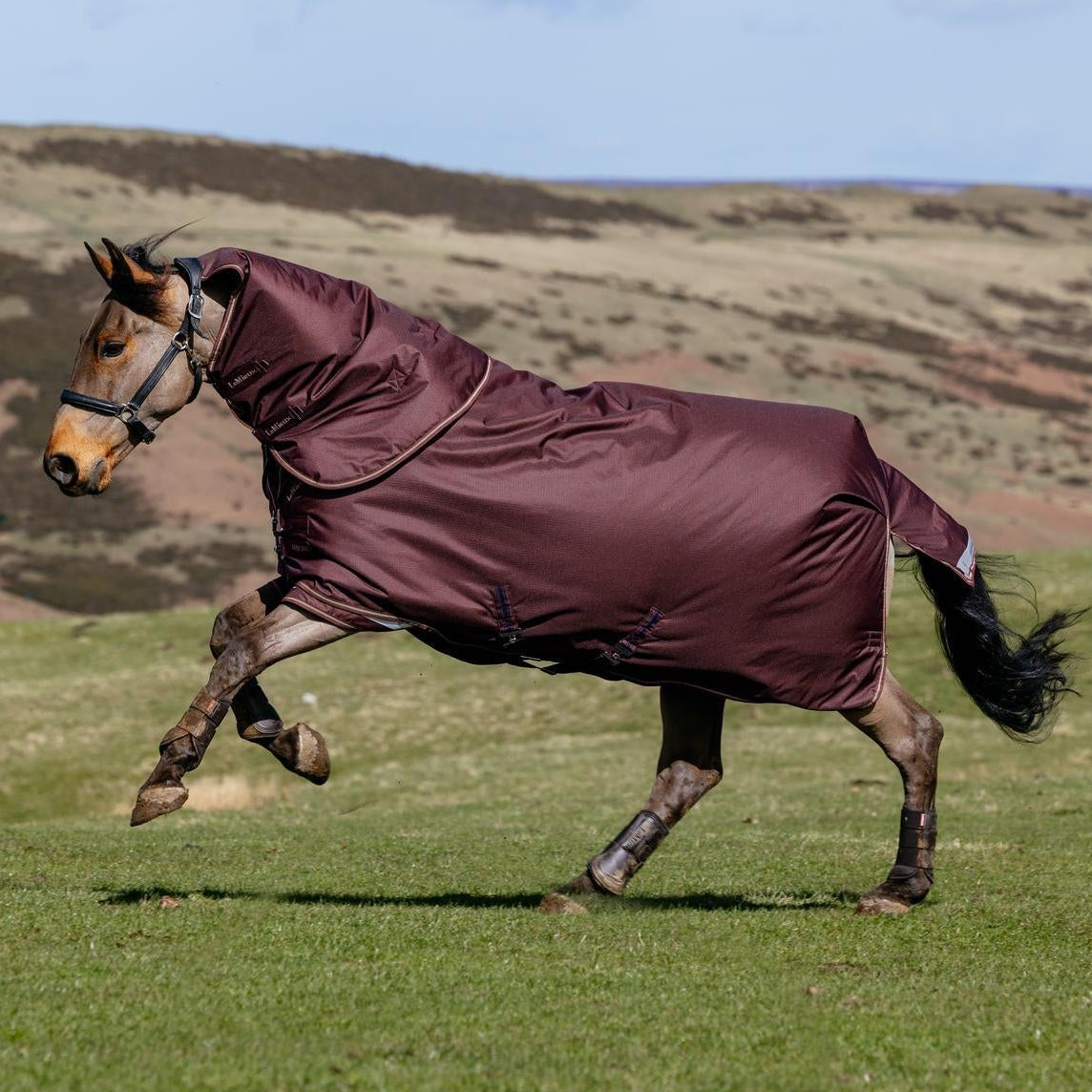 LeMieux Outdoordecke Arika Ripstop Turnout Rug mit Halsteil 0 g bramble
