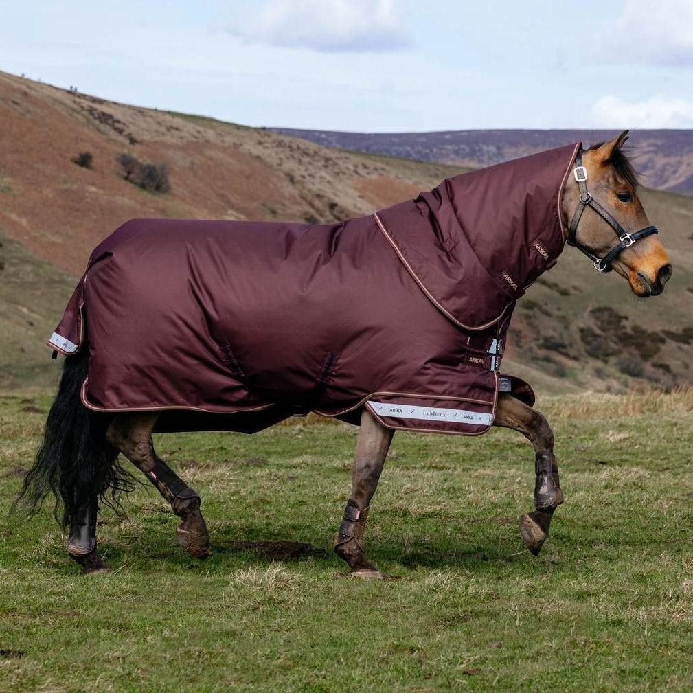 LeMieux Outdoordecke Arika Ripstop Turnout Rug mit Halsteil 0 g bramble