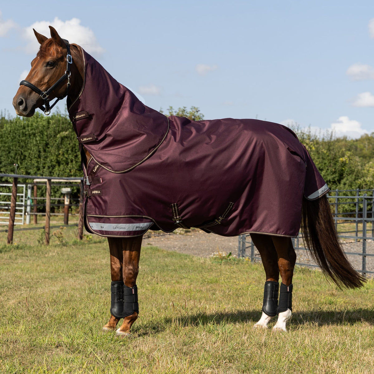 LeMieux Outdoordecke Arika Ripstop Turnout Rug mit Halsteil 0 g bramble