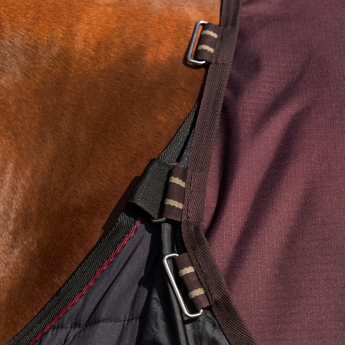 LeMieux Outdoordecke Arika Ripstop Turnout Rug mit Halsteil 0 g bramble