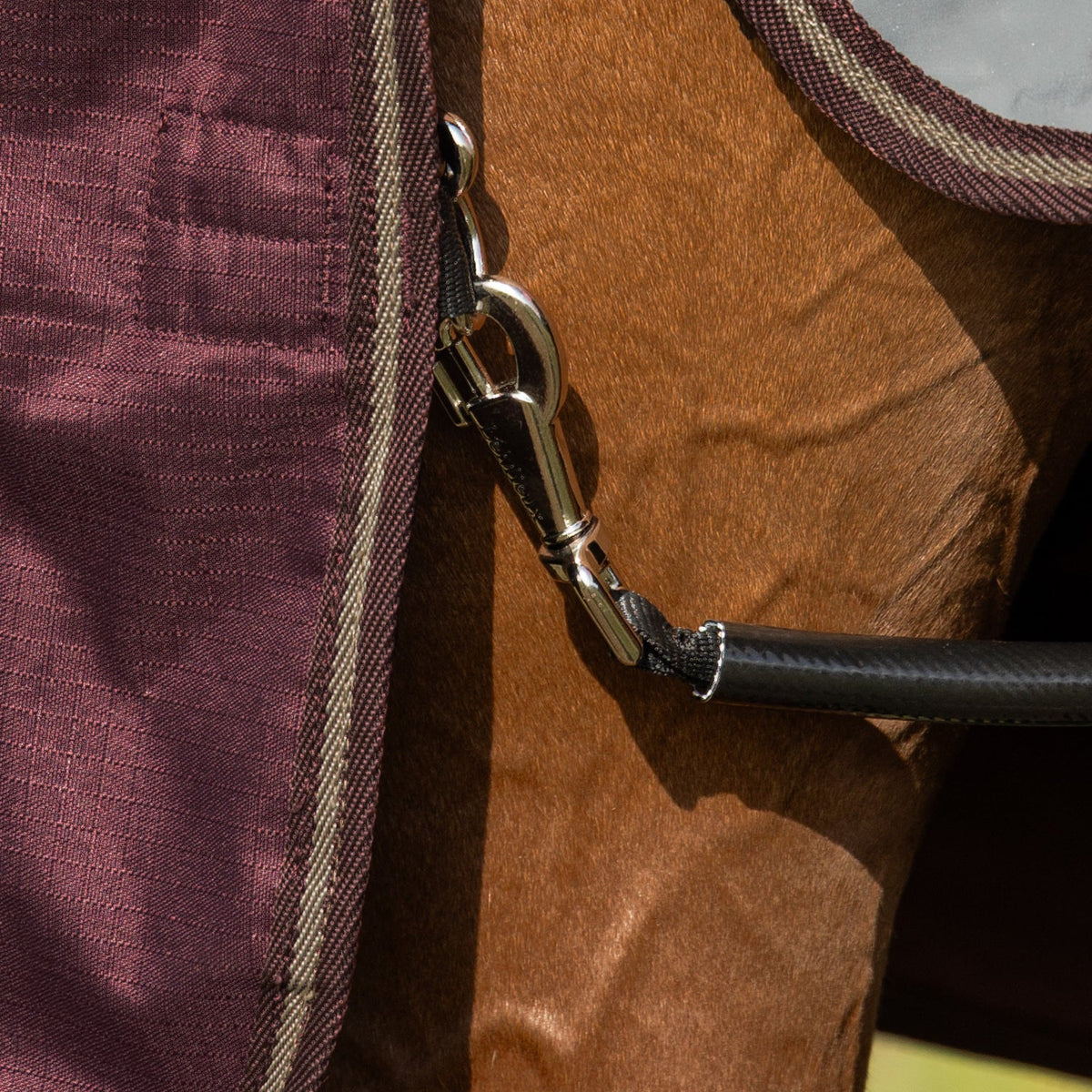 LeMieux Outdoordecke Arika Ripstop Turnout Rug mit Halsteil 0 g bramble