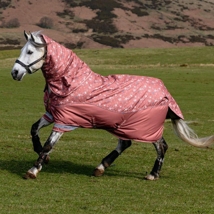 LeMieux Weidedecke Arika Star Turnout Rug mit Halsteil 0 g spiced earth