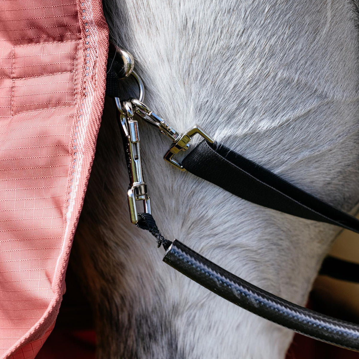 LeMieux Weidedecke Arika Star Turnout Rug mit Halsteil 0 g spiced earth