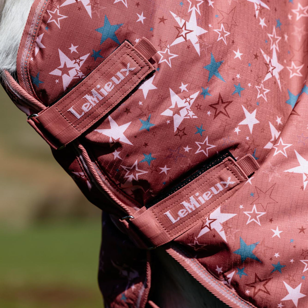 LeMieux Weidedecke Arika Star Turnout Rug mit Halsteil 0 g spiced earth