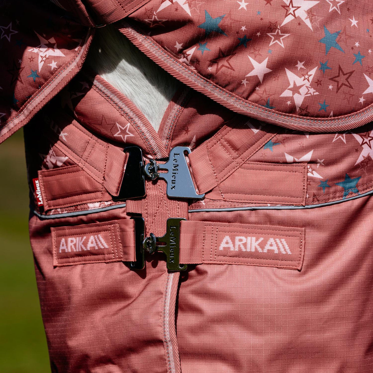 LeMieux Weidedecke Arika Star Turnout Rug mit Halsteil 0 g spiced earth