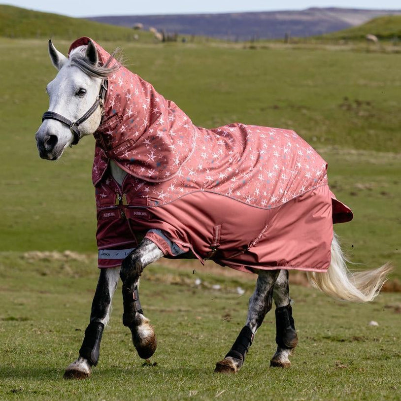 LeMieux Weidedecke Arika Star Turnout Rug mit Halsteil 0 g spiced earth