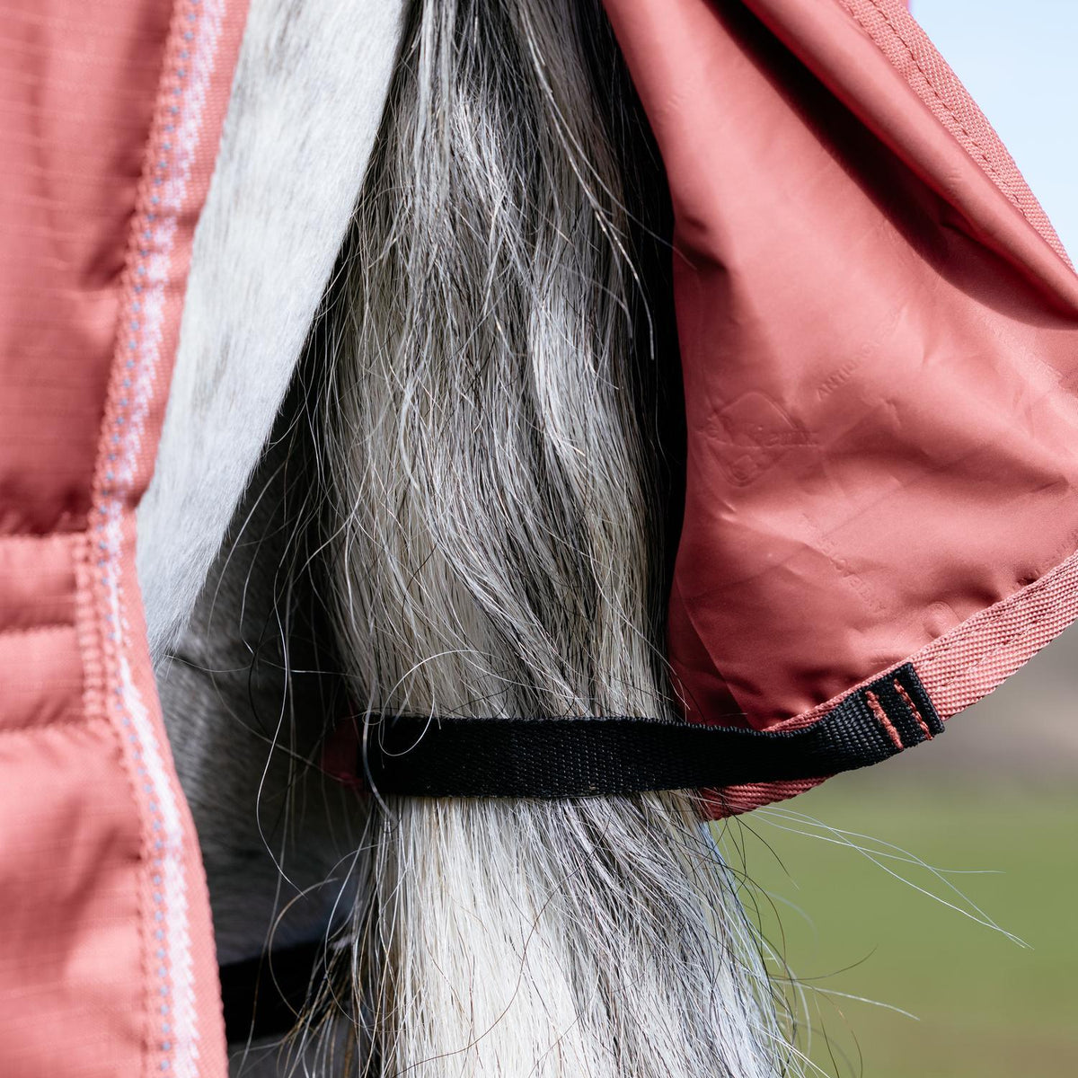 LeMieux Weidedecke Arika Star Turnout Rug mit Halsteil 0 g spiced earth