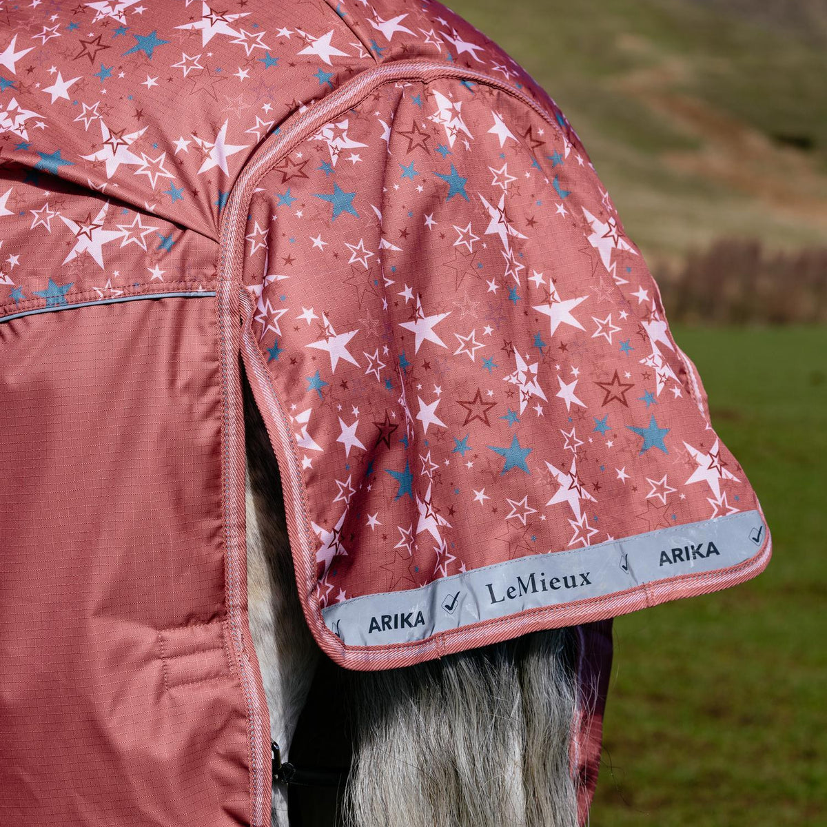 LeMieux Weidedecke Arika Star Turnout Rug mit Halsteil 0 g spiced earth