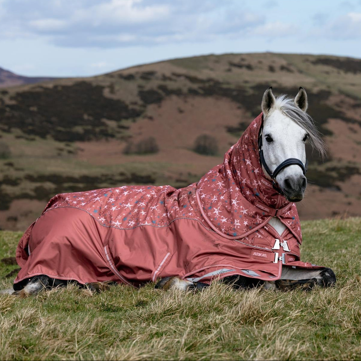 LeMieux Weidedecke Arika Star Turnout Rug mit Halsteil 0 g spiced earth