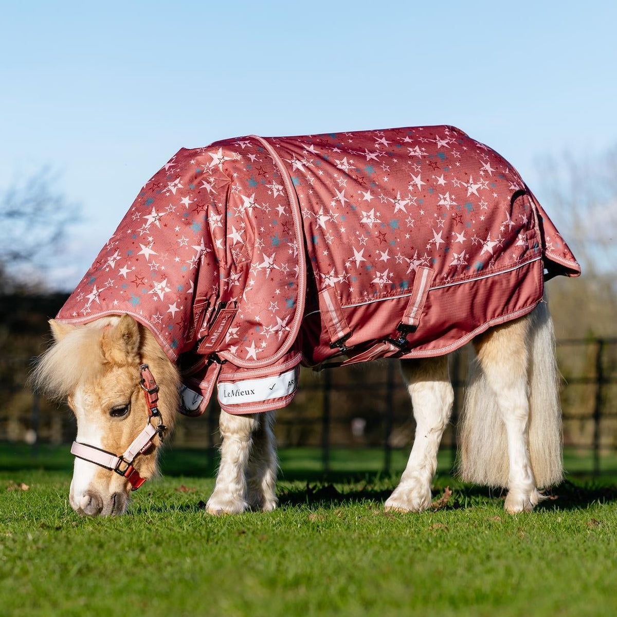 LeMieux Weidedecke Arika Star Turnout Rug mit Halsteil 0 g spiced earth
