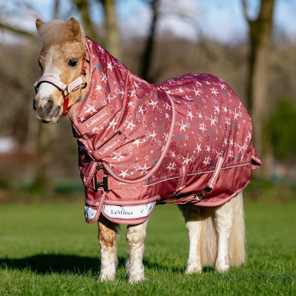 LeMieux Weidedecke Arika Star Turnout Rug mit Halsteil 0 g spiced earth